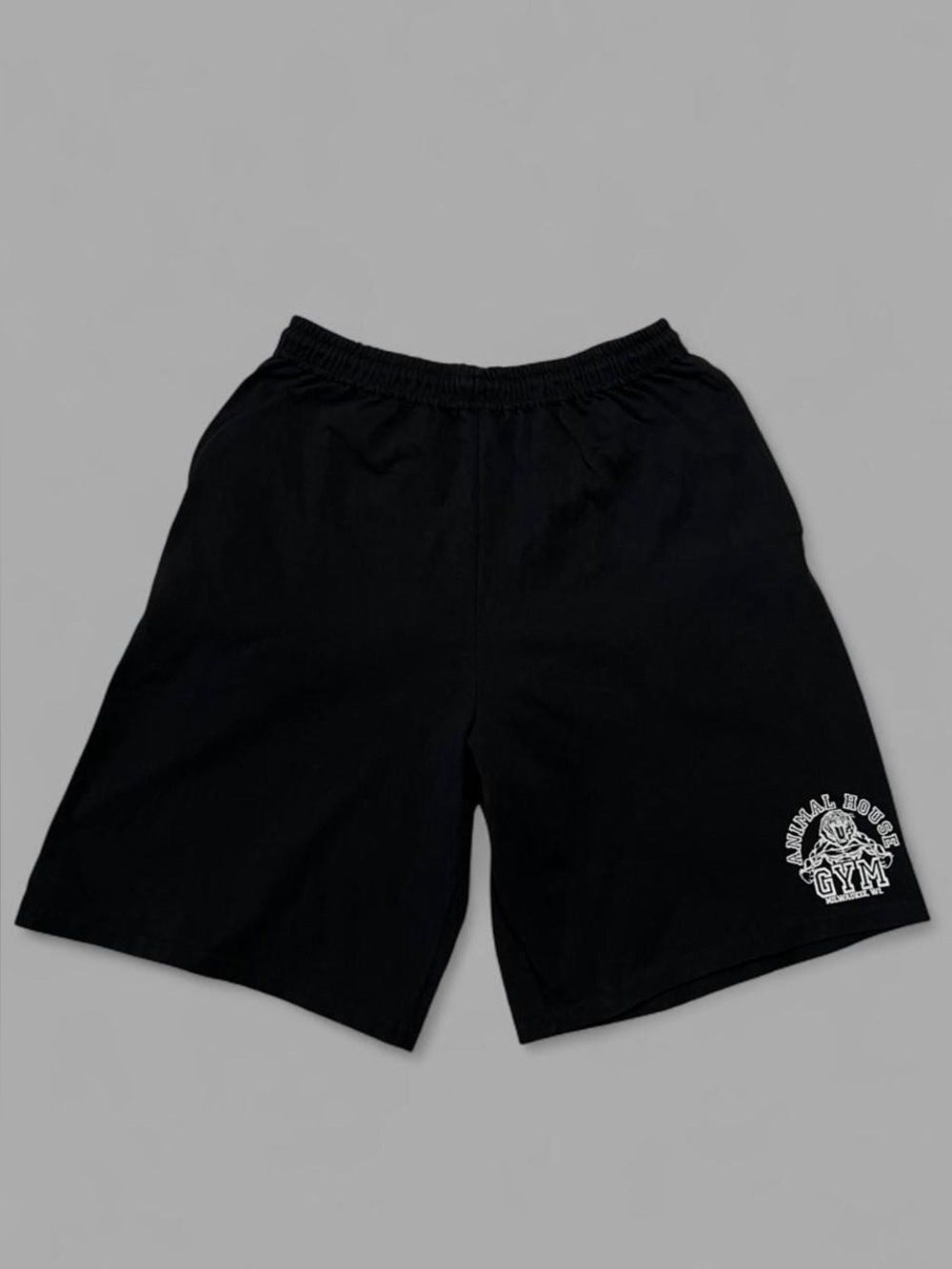 Vintage 90’s Animal House Gym Milwaukee, WI Russell Athletic Shorts. Size M.